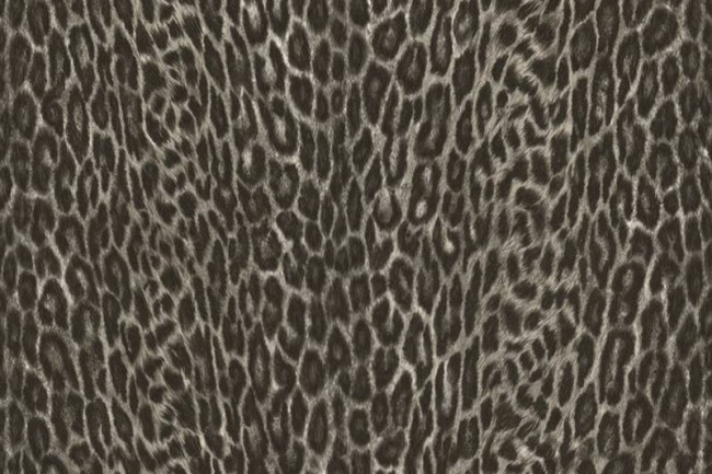 Decorative sticky back plastic Asian Leopard