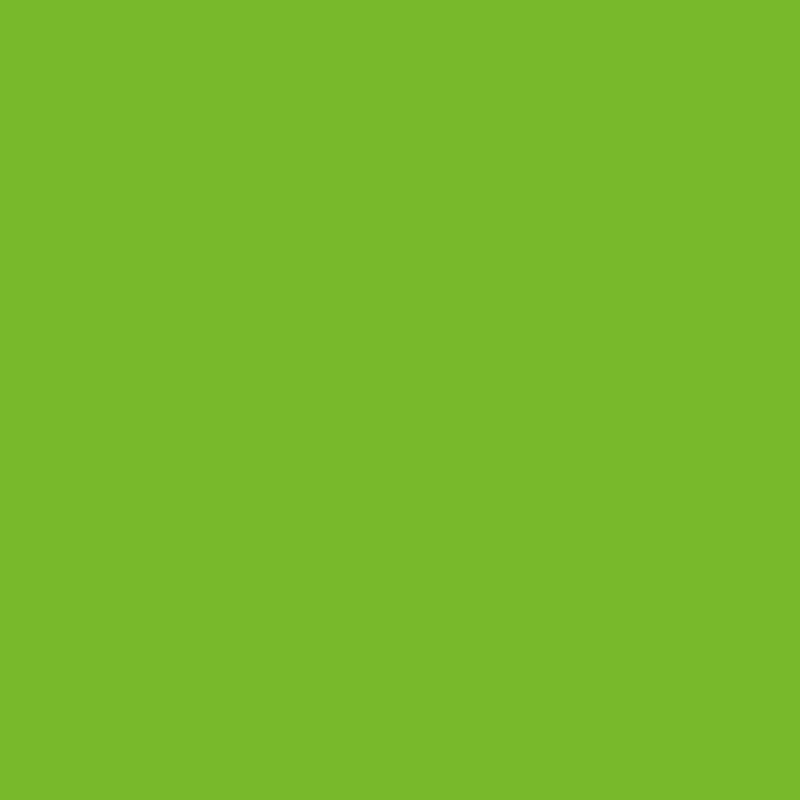 Autocolant Verde Lime RAL 6018 mat