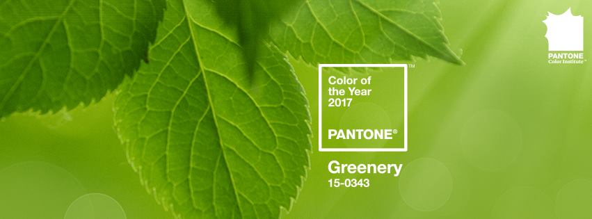Color of the year 2017 Pantone - Greenery