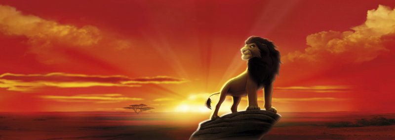 Fototapet Lion King - Puterea Apusului pe Stanci