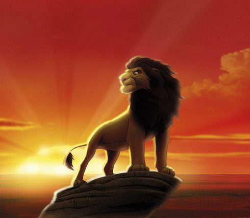Fototapet Lion King - Puterea Apusului pe Stanci - Detaliu