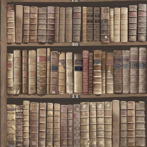 Tapet Vintage Carti Biblioteca Stejar Oxford