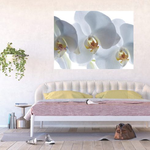 Fototapet orhidee albe