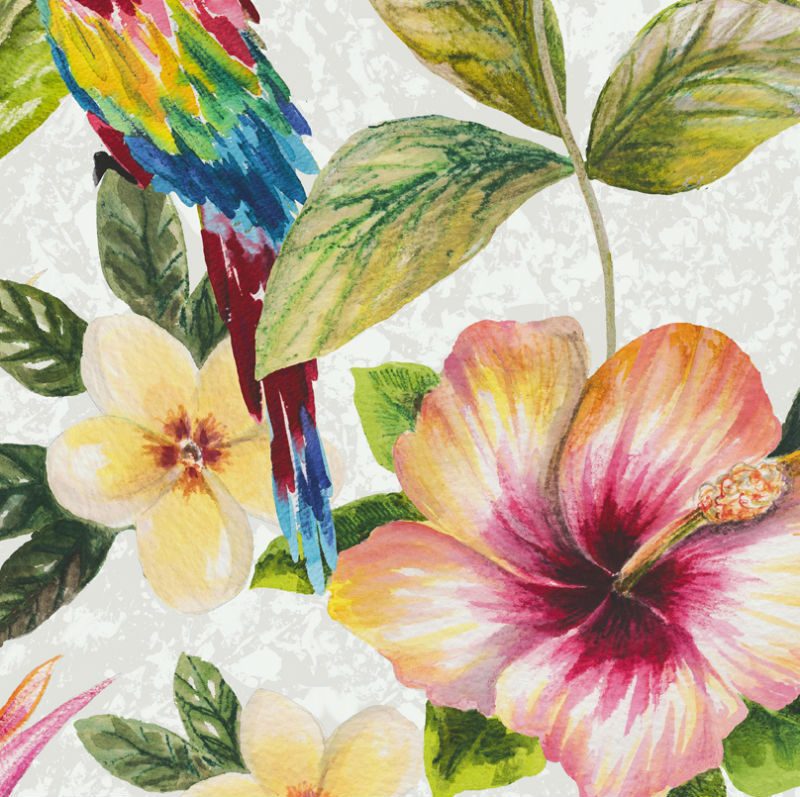 Tapet exotic flori si papagali multicolori - Holden Alb Detaliu
