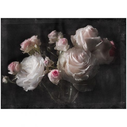 Fototapet trandafiri pe panza neagra