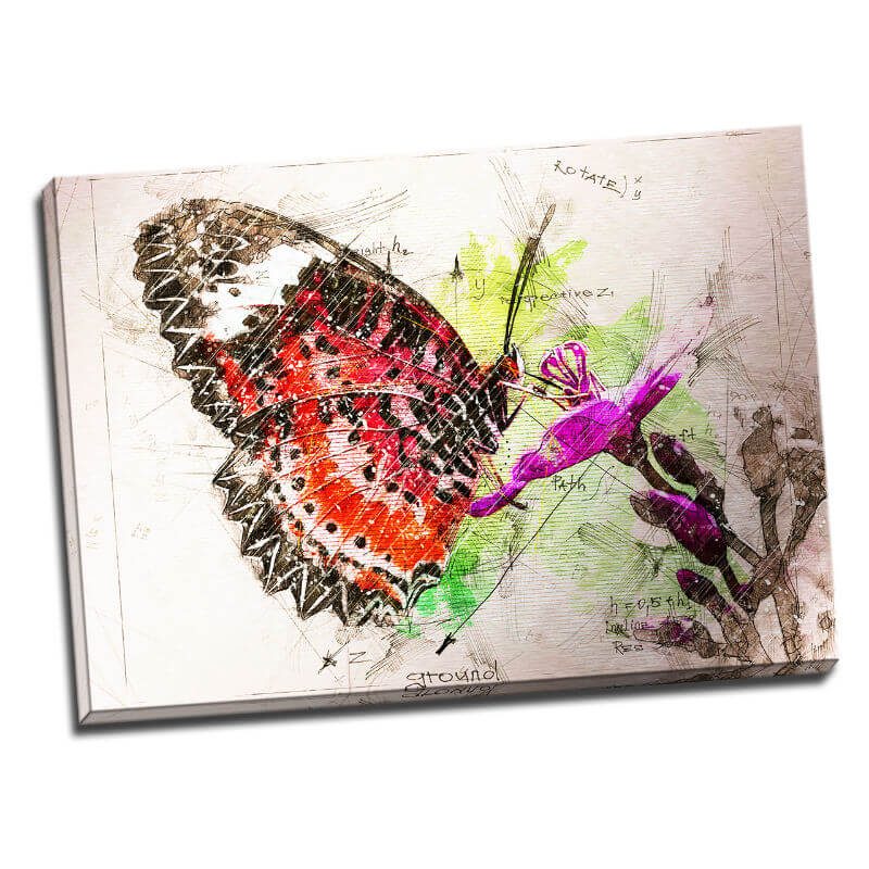 Tablou fluture - Botanica in culori - Aspect zona luminata