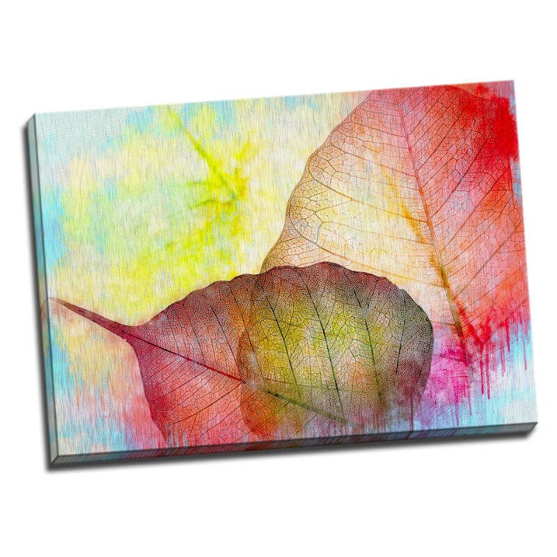 Tablou modern cu frunze colorate - Aspect zona luminata