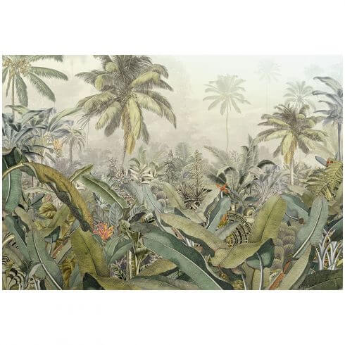 fototape jungla tropicala