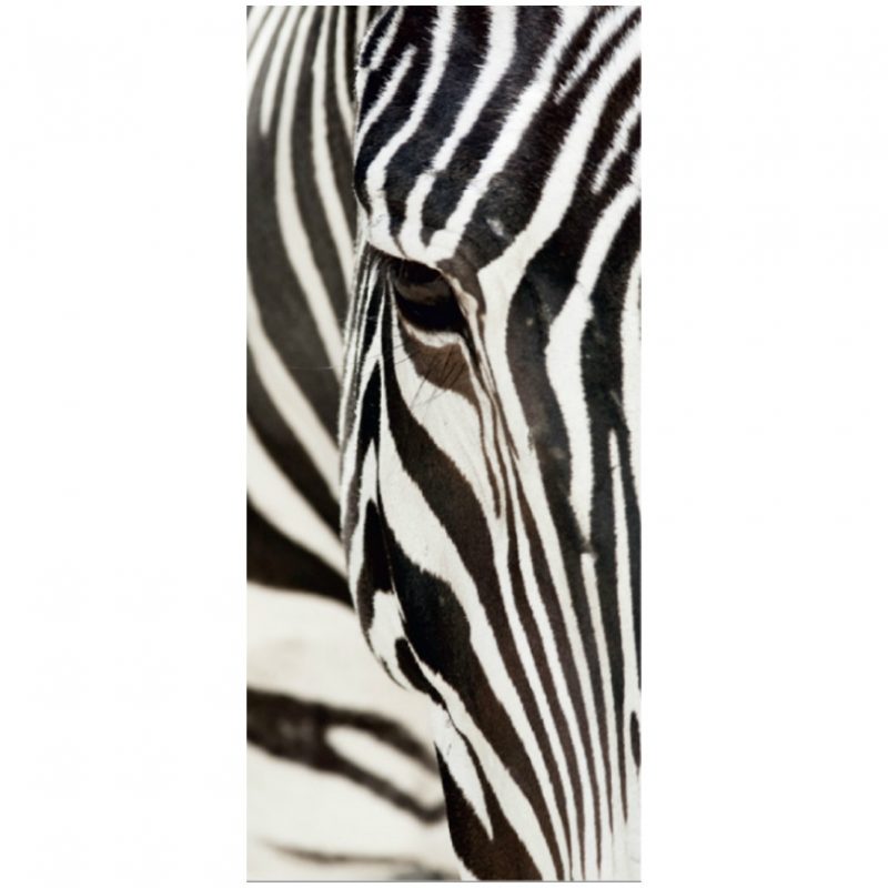 Fototapet de usa cu zebra - Catalog