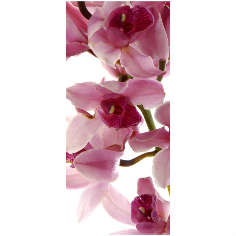 Fototapet pentru usa cu orhidee roz - Catalog
