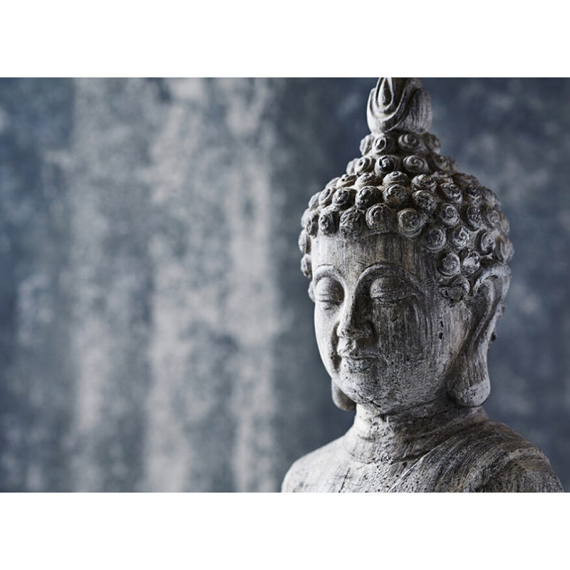 Fototapet Buddha gri vlies
