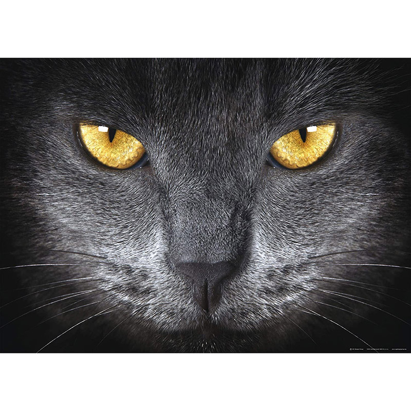 Fototapet ochi de pisica neagra