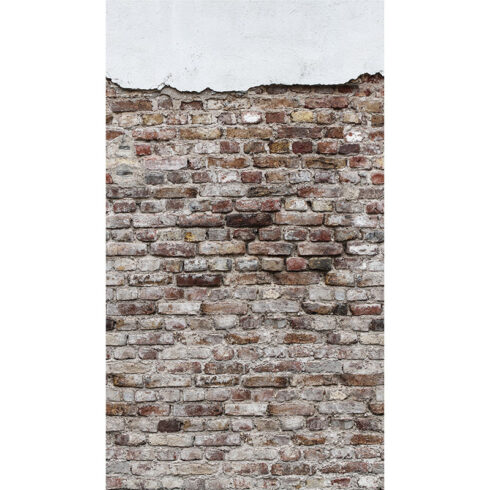 Fototapet perete vintage aspect de caramida si tencuiala The Wall