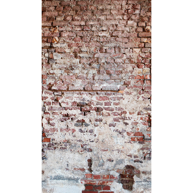 Fototapet perete vintage din caramida The Wall